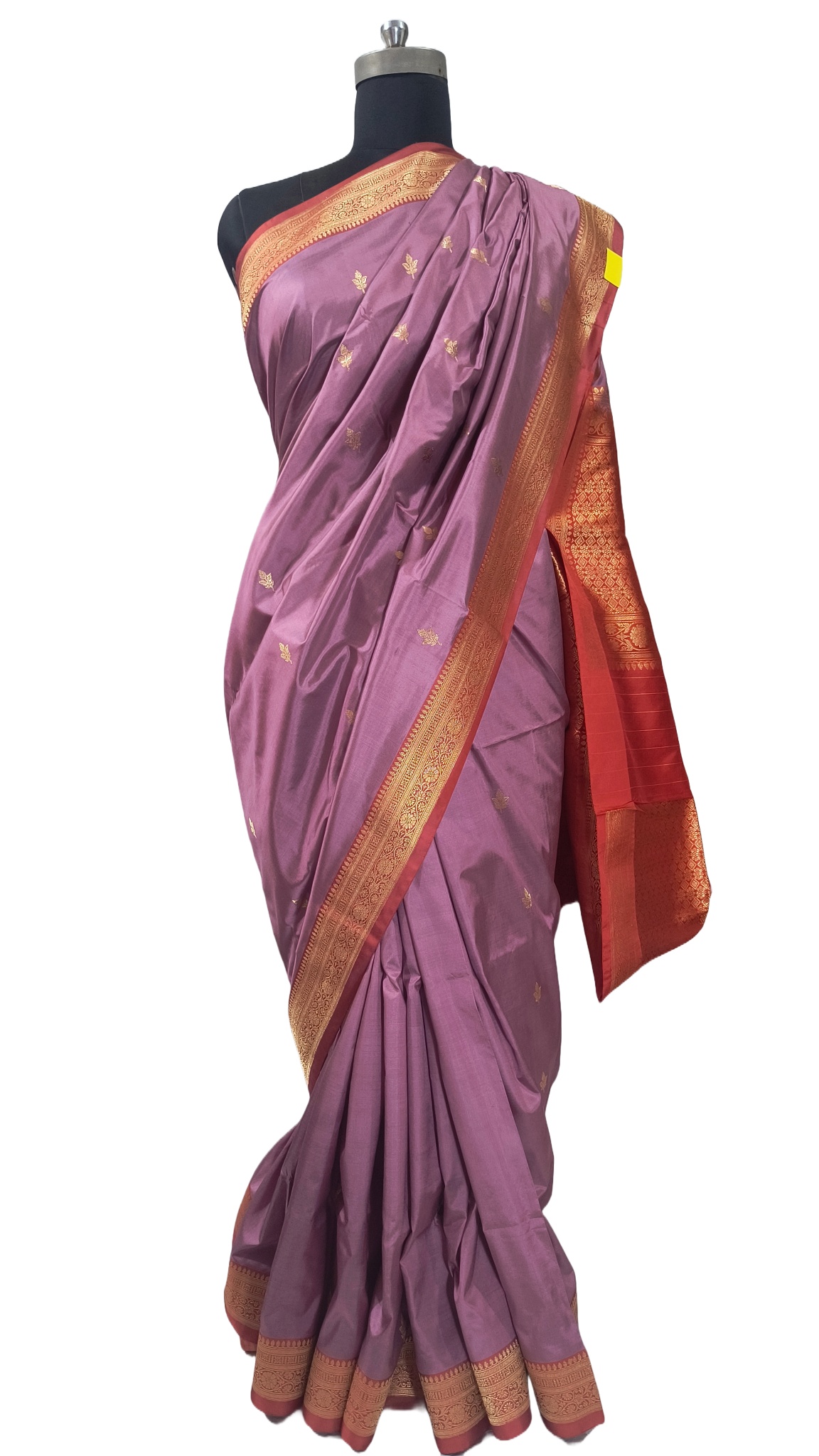 IMG_20250201_141808783 (1)